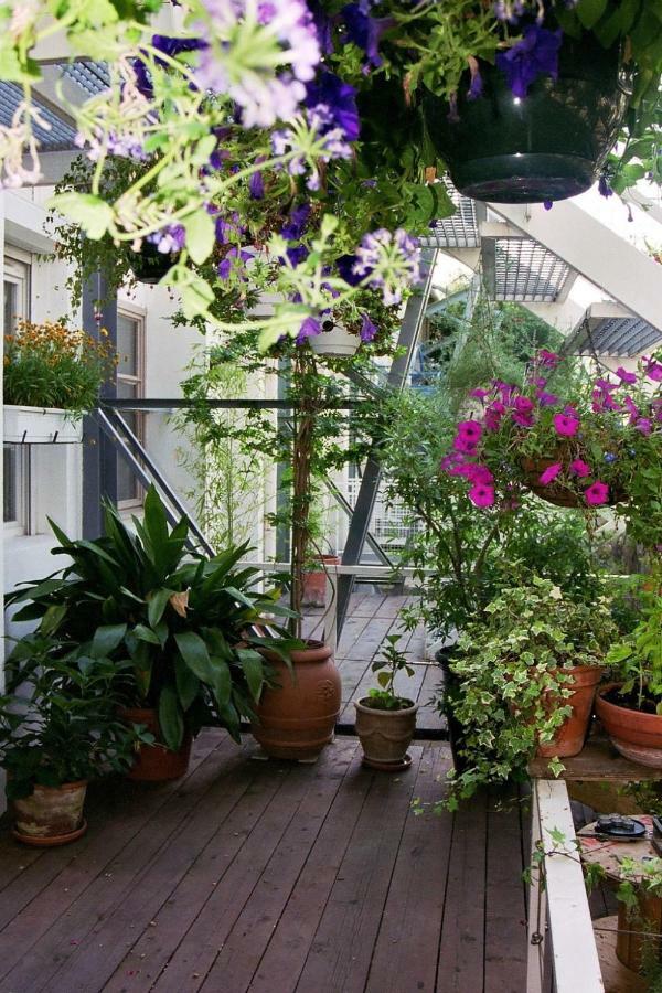 Loft De Cannes B&B Ngoại thất bức ảnh